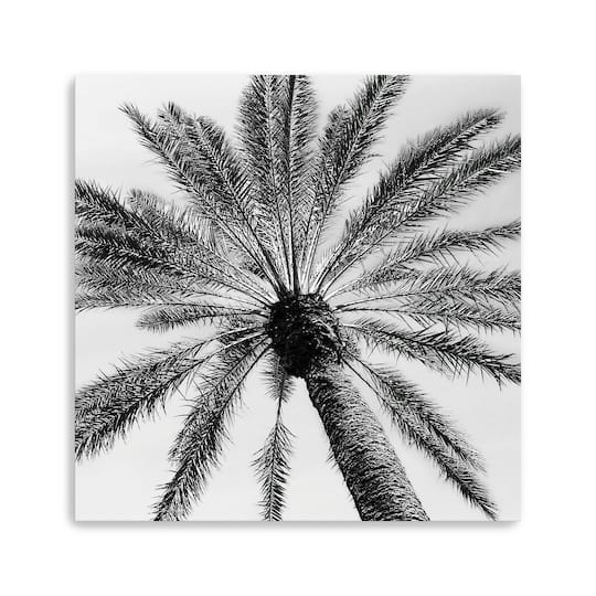 Skyward Palm Canvas Giclee